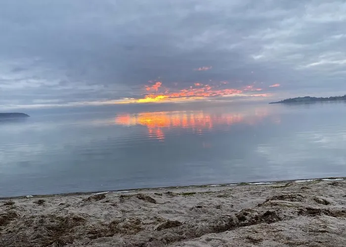 Möwenblick Rügen Mit Meerblick, Sauna Und Kamin Alt Reddevitz